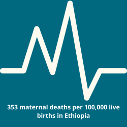 HamlinPMNCH5 | Catherine Hamlin Fistula Foundation | Together we can eradicate obstetric fistula in Ethiopia.
