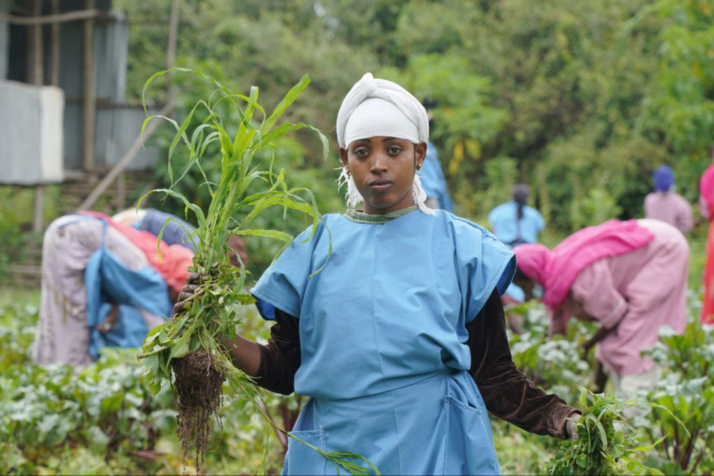 Woman learning farming at Desta Mender